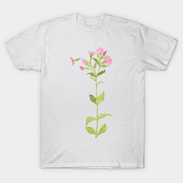 Field campion (full flower) T-Shirt by Babban Gaelg